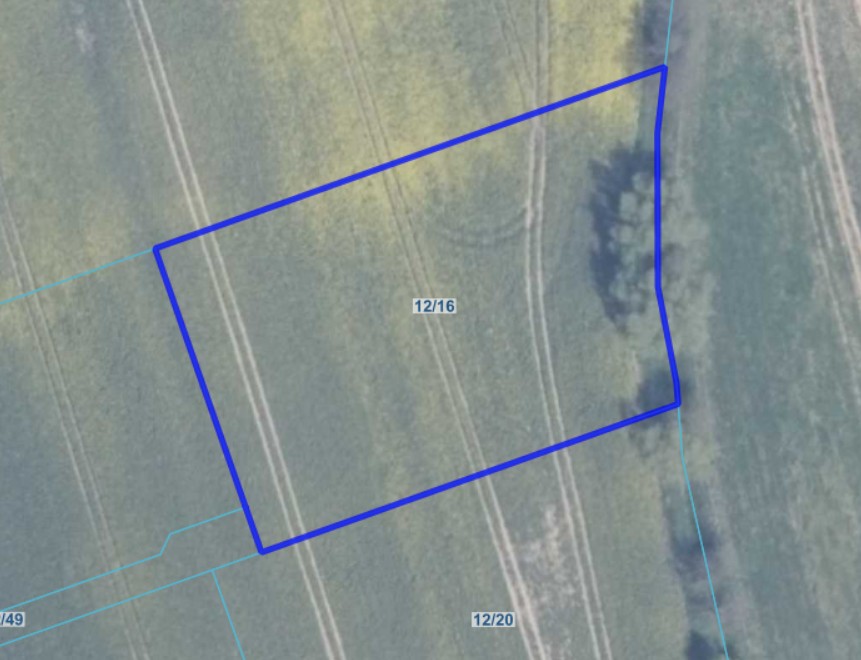 Zrzut ekranu 2025-12-17 081647