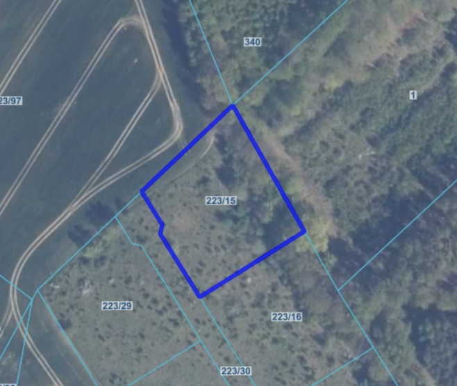 Zrzut ekranu 2025-12-22 142136