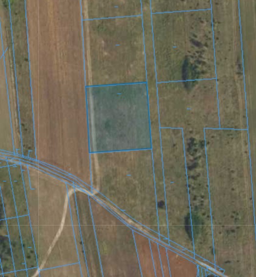 Zrzut ekranu 2026-01-28 134809