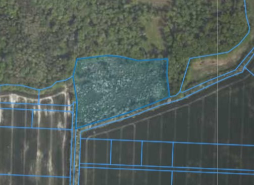 Zrzut ekranu 2026-01-28 144213