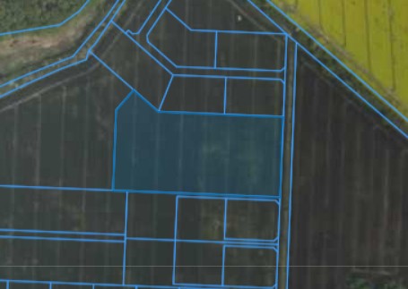 Zrzut ekranu 2026-01-28 144441