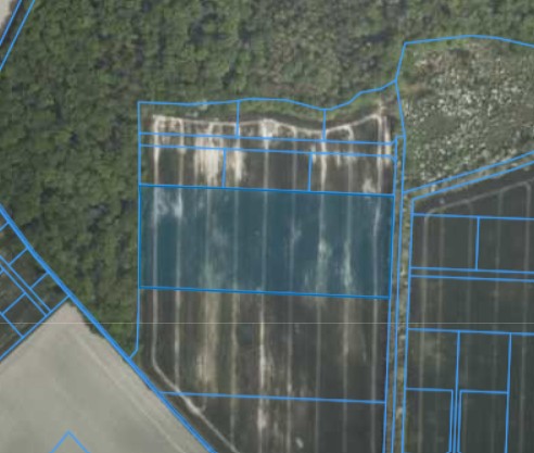 Zrzut ekranu 2026-01-28 144846